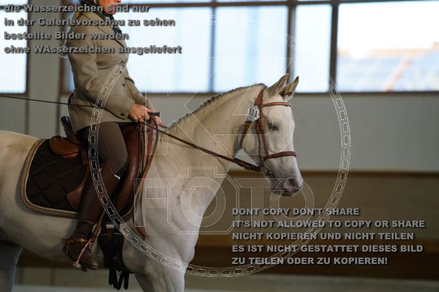 s_K3F02838.JPG